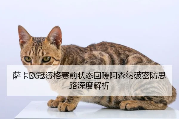 萨卡欧冠资格赛前状态回暖阿森纳破密防思路深度解析