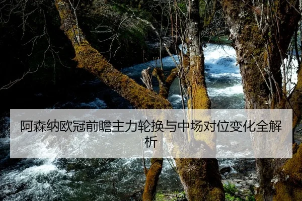 阿森纳欧冠前瞻主力轮换与中场对位变化全解析